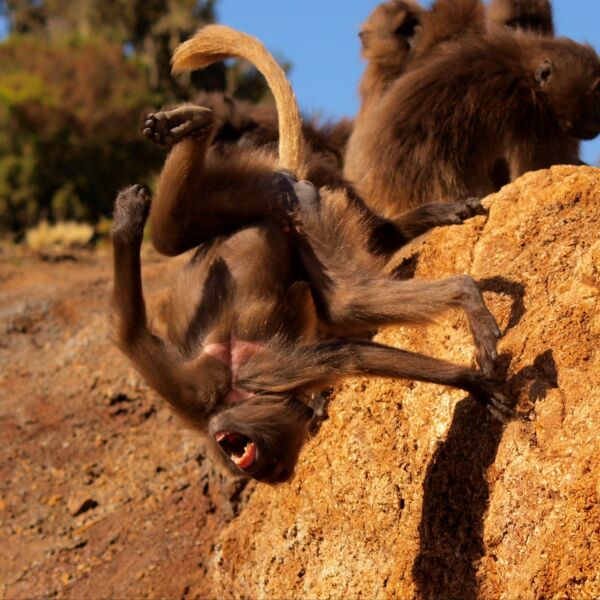 <a href="http://smack-lab.com/team/you/">You?</a>